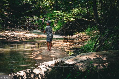 0 Country Lane Rd, Talbotton, GA, 31827 | Card Image