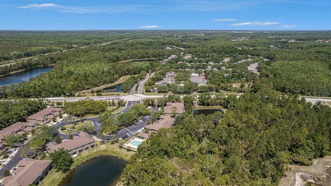 18981 Duquesne Dr, Townhouse with 2 bedrooms, 3 bathrooms and null parking in TAMPA FL | Image 31