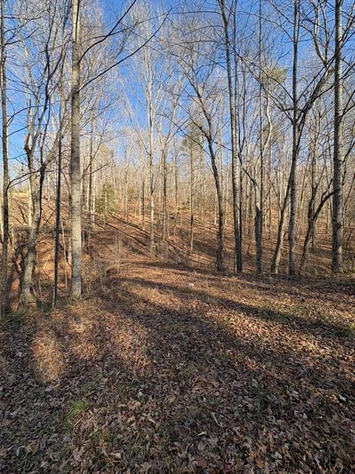 0 Gold View Dr, Dahlonega, GA, 30533 | Card Image