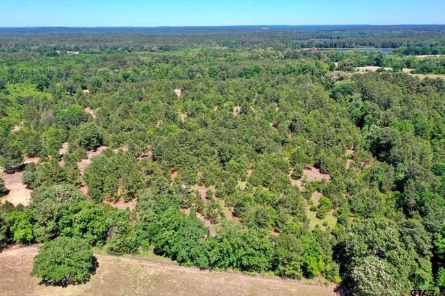 3662 An County Road 359, Home with 3 bedrooms, 3 bathrooms and null parking in Palestine TX | Image 38