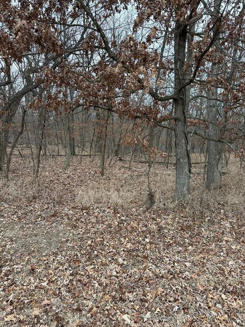Lot 24 S Eagle Chase Drive, Seneca, IL, 61360 | Card Image