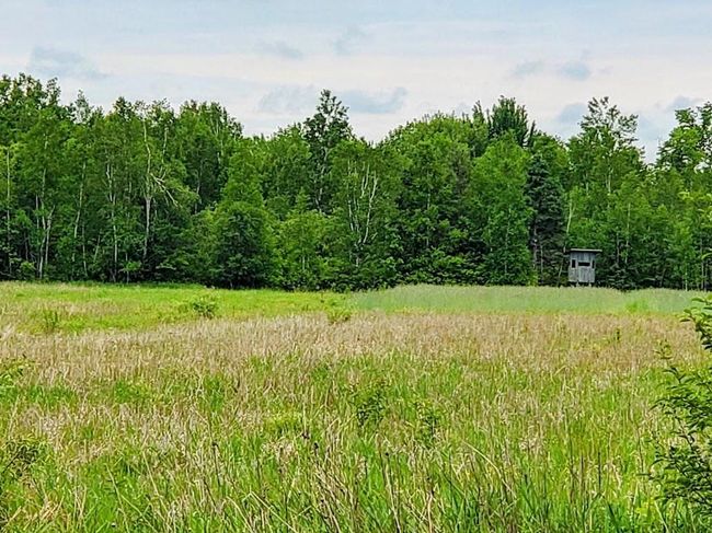 W12781 Rangeline Road, House other with 3 bedrooms, 1 bathrooms and null parking in ACKLEY WI | Image 39