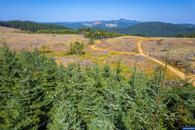 0 Bald Mountain Rd, Home with 0 bedrooms, 0 bathrooms and null parking in Beaver OR | Image 16