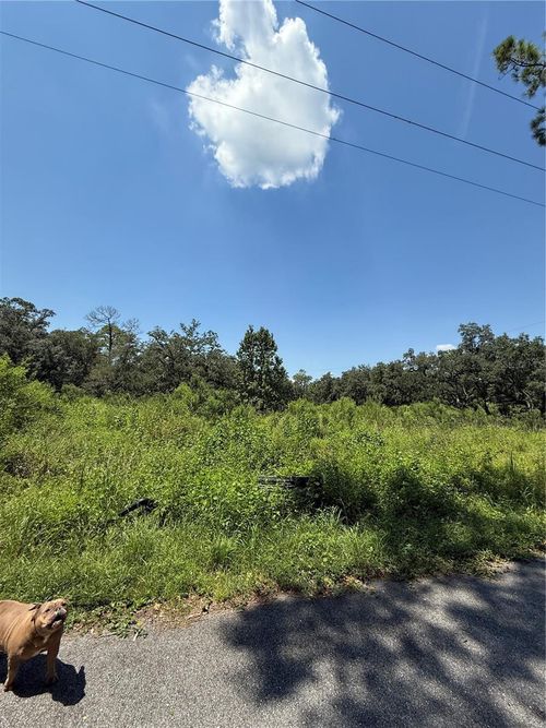 1356 Montzen Rd, Davenport, FL, 33896-9327 | Card Image