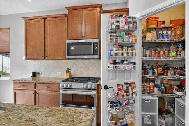30120 Hackney Loop, House other with 4 bedrooms, 4 bathrooms and null parking in MOUNT DORA FL | Image 24