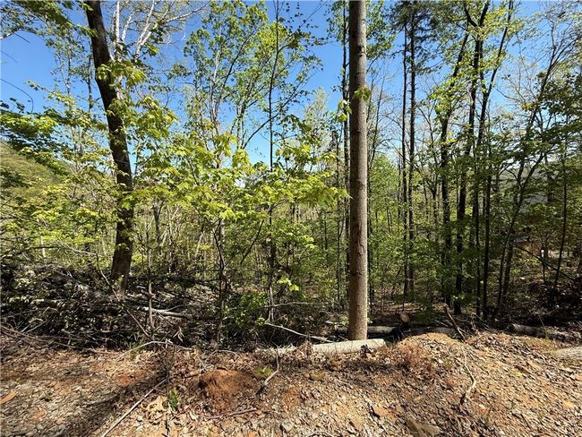 113 Stone Creek Ct, Home with 0 bedrooms, 0 bathrooms and null parking in Pickens SC | Image 6