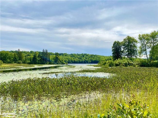 22-A Maple Dr, Home with 0 bedrooms, 0 bathrooms and null parking in Loring ON | Image 19
