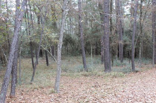 12 Weeping Willow, Trinity, TX, 75862-8956 | Card Image