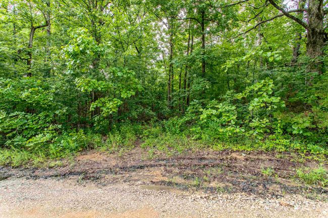 00 Red Fox Rd, Home with 0 bedrooms, 0 bathrooms and null parking in Hardy AR | Image 4