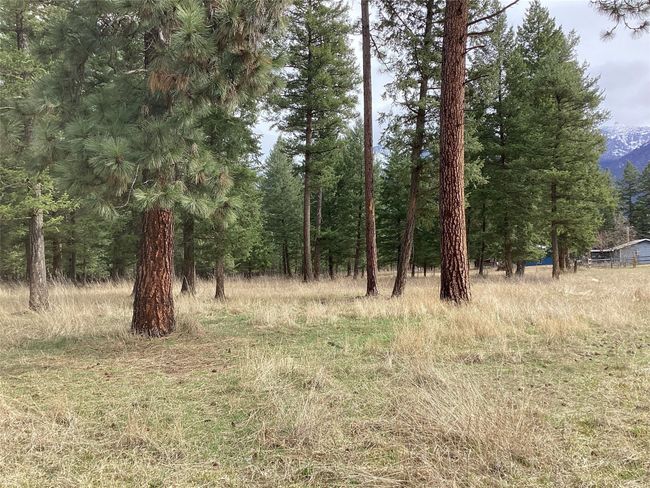 1 Eagle Pass Road, Home with 0 bedrooms, 0 bathrooms and null parking in Charlo MT | Image 14