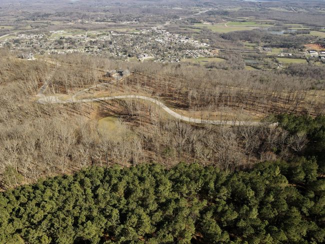 80 High Point Ln, Home with 0 bedrooms, 0 bathrooms and null parking in Jasper TN | Image 145
