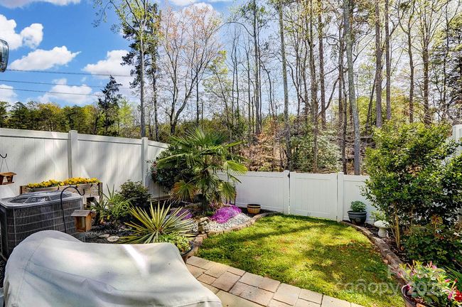 Lots of backyard privacy. | Image 38