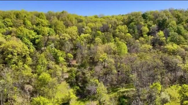 1657 Terrapin Branch Rd, House other with 3 bedrooms, 2 bathrooms and null parking in Mount Pleasant TN | Image 43