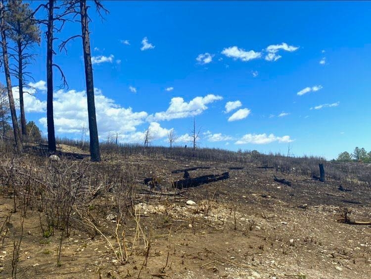Land in Timberon