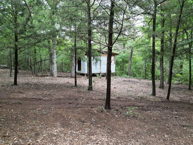 View of tree filled area | Image 9