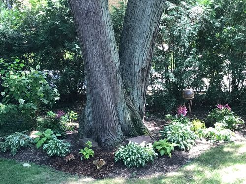 31 Roosevelt St, St. Charles, IL, 60174-4158 | Card Image