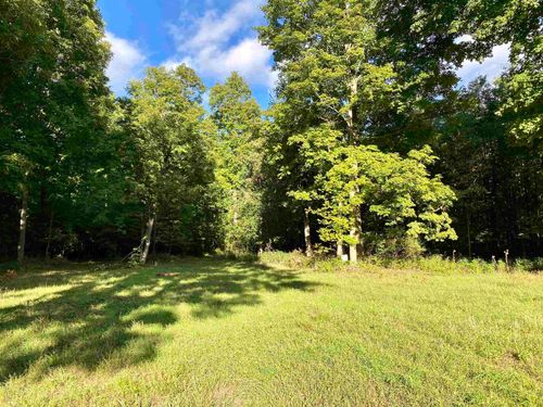 00 VL M-115, Antioch Township, MI, 49618 | Card Image