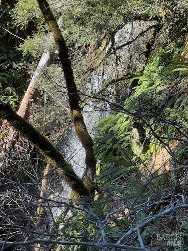 1 Highway 199 None, Home with 0 bedrooms, 0 bathrooms and null parking in Crescent City CA | Image 11