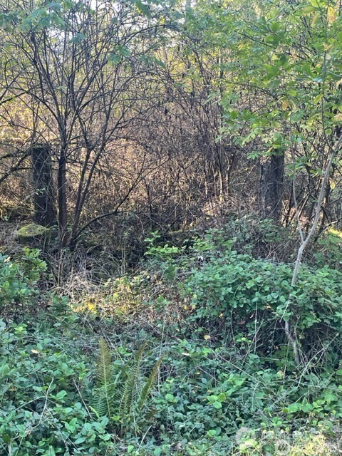 Land in Anderson Island 4
