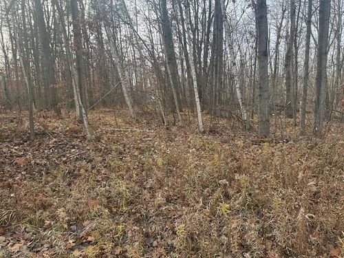 TBD Shore Ct, Weidman, MI, 48893 | Card Image