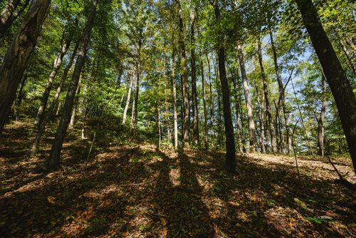 000 Little Kyger Rd, Cheshire, OH, 45620 | Card Image
