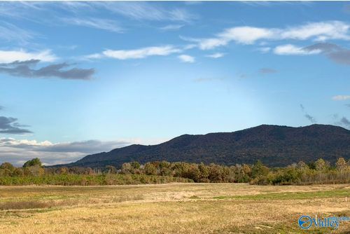 Lot 36 County Road 32, Piedmont, AL, 36272-4769 | Card Image