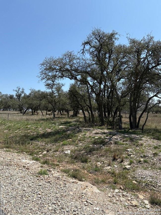 LOT 123 Fallow Drive, Home with 0 bedrooms, 0 bathrooms and null parking in Harper TX | Image 13
