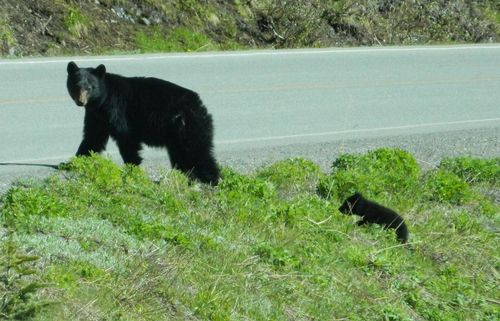 Lt4 Parkway Road, Stephenson, WI, 54114 | Card Image