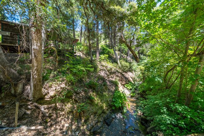 0000 E Fork Rd, Home with 0 bedrooms, 0 bathrooms and null parking in French Gulch CA | Image 19