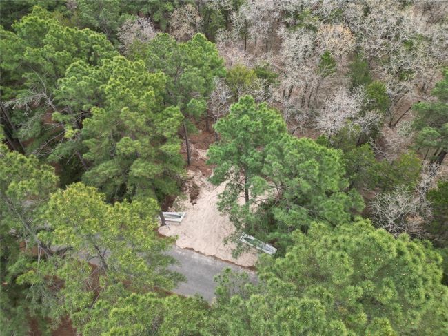 Drone / aerial view featuring a view of trees | Image 5