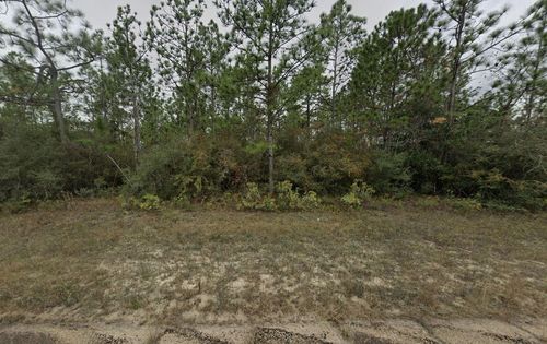 Tbd Dustin Ave, Chipley, FL, 32428 | Card Image