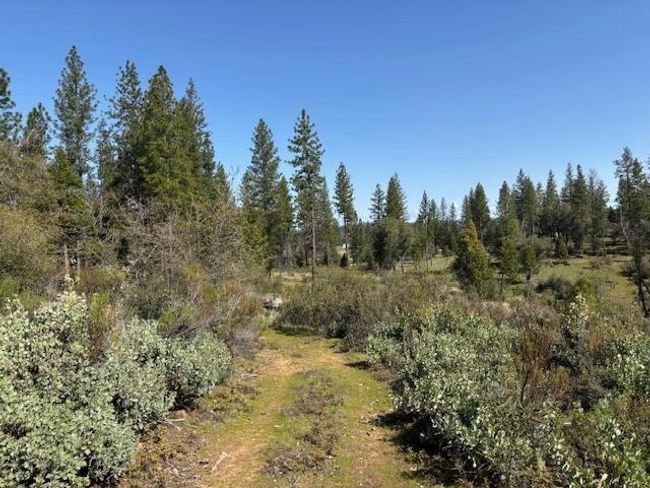 19292 Shawnee Trl, Home with 0 bedrooms, 0 bathrooms and null parking in Mokelumne Hill CA | Image 58