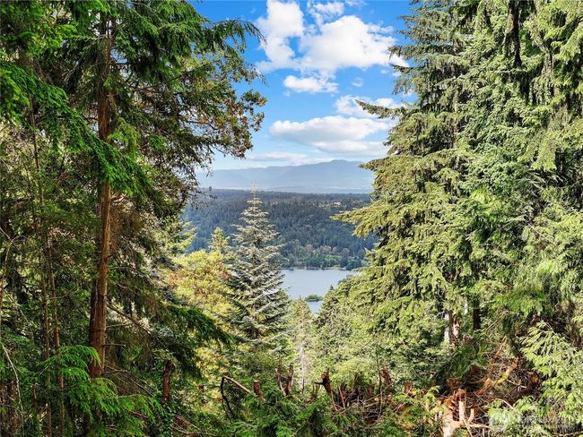 18608 Se 58 Th St, House other with 4 bedrooms, 4 bathrooms and 4 parking in Issaquah WA | Image 16