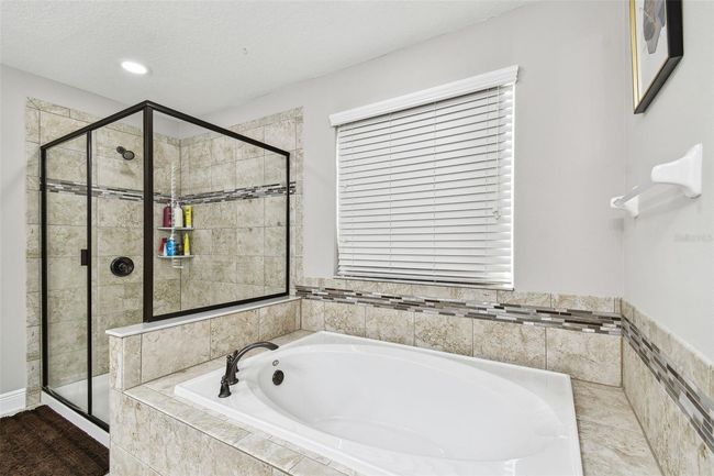 10701 Morning Dew Way, House other with 7 bedrooms, 6 bathrooms and null parking in TAMPA FL | Image 57