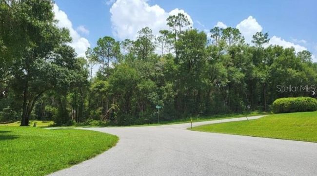 00 Sw 192nd Circle, Home with 0 bedrooms, 0 bathrooms and null parking in Dunnellon FL | Image 1