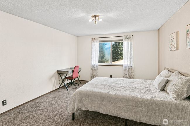 New Lights and Window Have Been Ordered. | Image 18