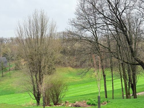 10 Linden Court, Galena, IL, 61036 | Card Image