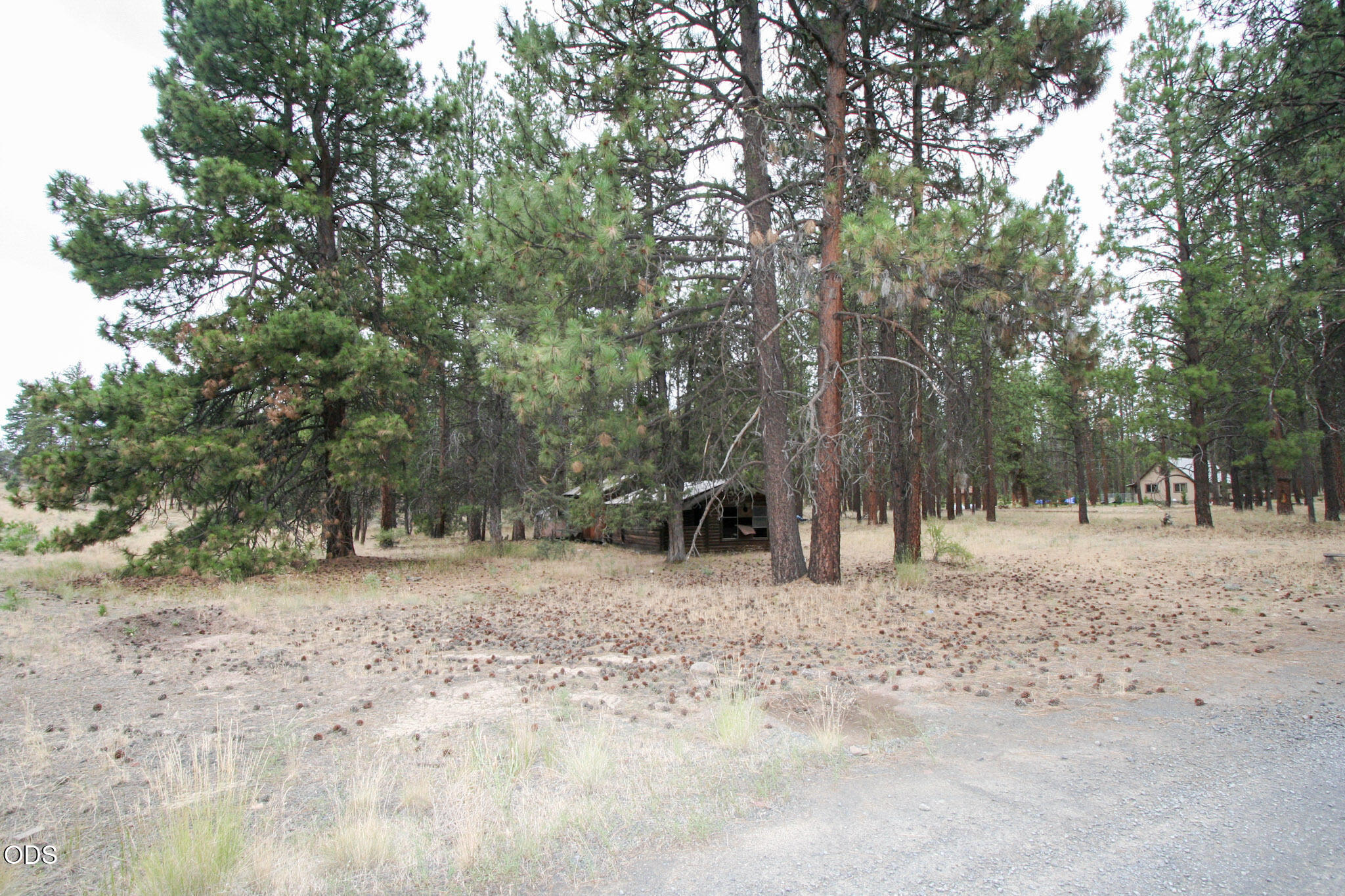 Land in Bonanza 5