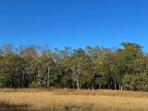 8785 Palmetto Rd, Edisto Island, SC, 29438-6923 | Card Image