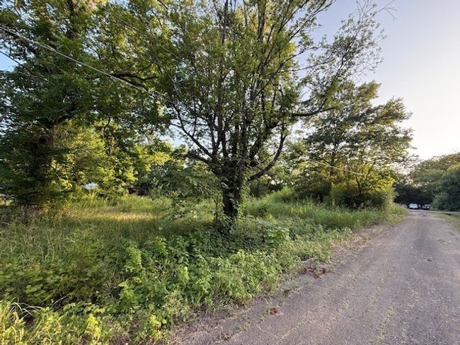 202 Elm St, Home with 0 bedrooms, 0 bathrooms and null parking in Roxton TX | Image 7
