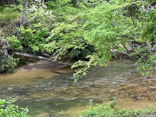 Lot 52 Madeline Way, Blairsville, GA, 30512-2602 | Card Image