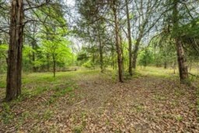 View of landscape | Image 7
