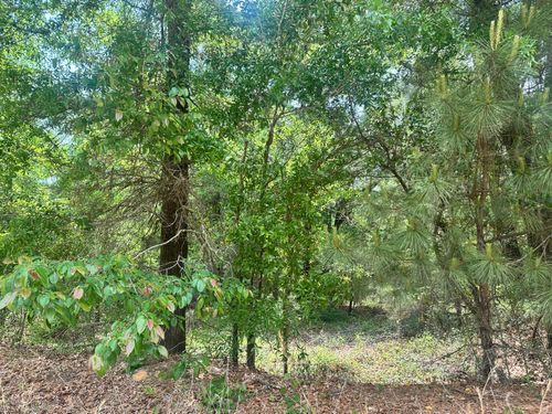 Lot 10 Warbonnet Road, Springfield, SC, 29146 | Card Image