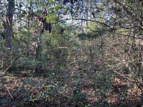 TBD E Bent Bow Ln, Hawkins, TX, 75765 | Card Image