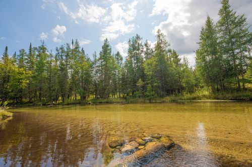 Lots A & B Schuss Mountain Road, Custer Township, MI, 49659 | Card Image