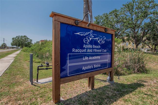 6530 Manila Palm Way, House other with 4 bedrooms, 2 bathrooms and null parking in APOLLO BEACH FL | Image 68