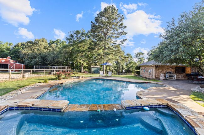 307 Smith St, Home with 3 bedrooms, 5 bathrooms and null parking in Naples TX | Image 18