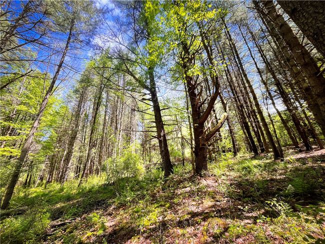 200 Straw Hill Rd, Home with 0 bedrooms, 0 bathrooms and null parking in Barton NY | Image 29