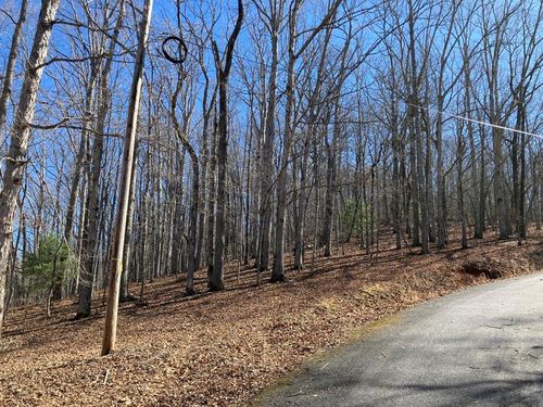 Lot 4 Mirandi Dr, Warne, NC, 28909-8744 | Card Image