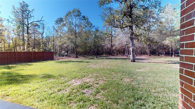 Backyard | Image 45